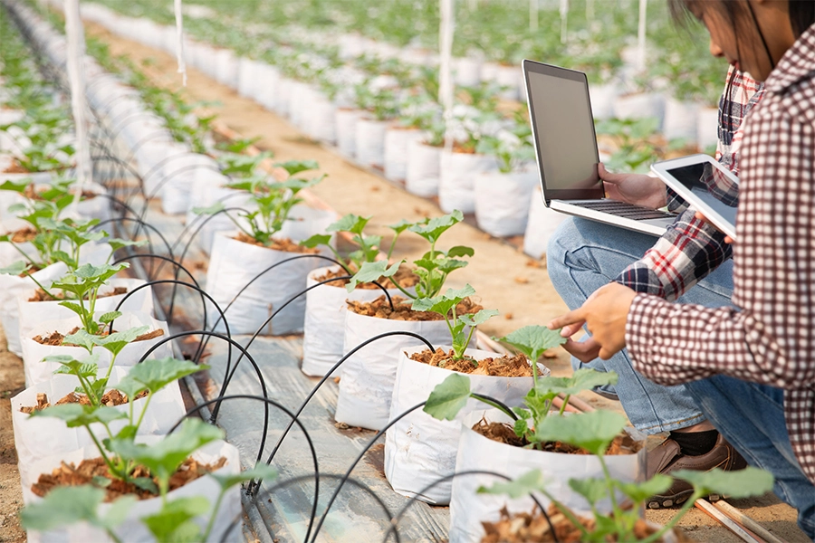 AgTech & Smart Farming